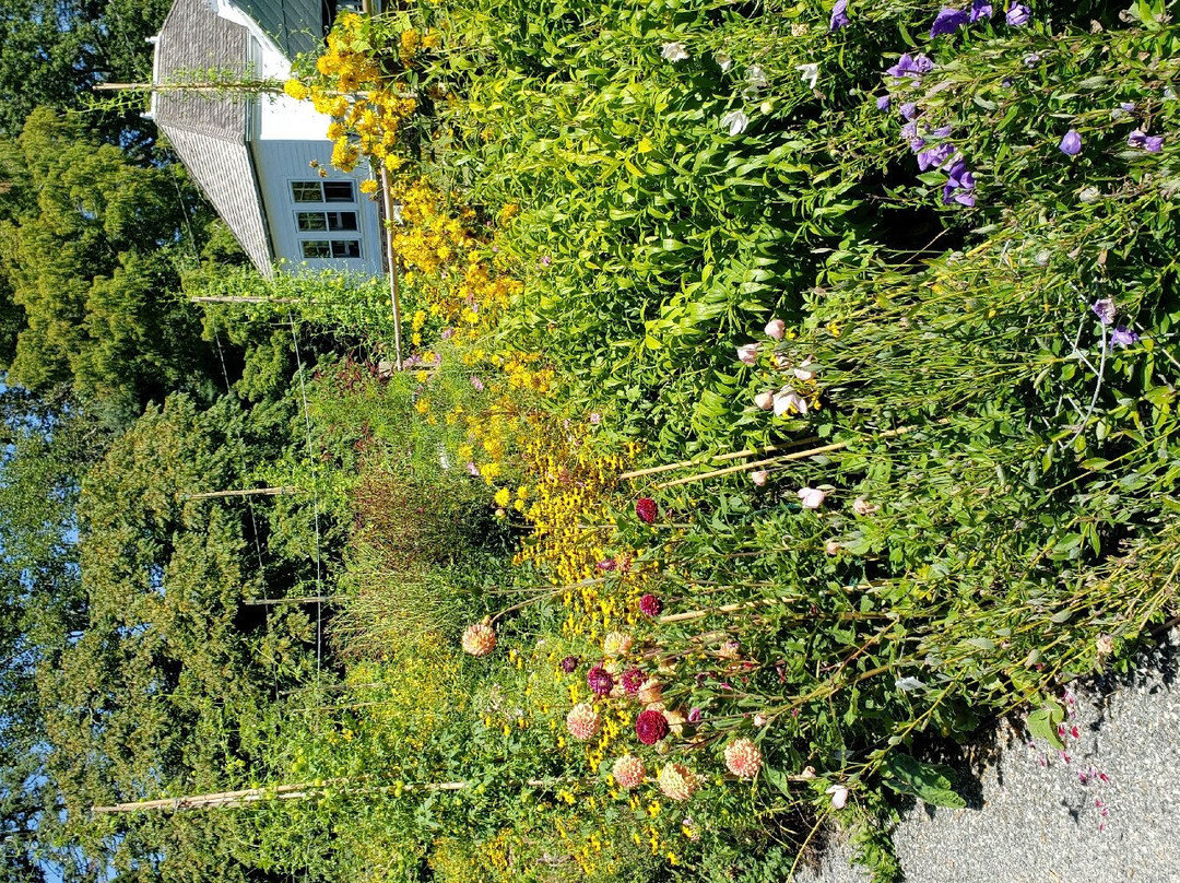 Blithewold Mansion, Gardens & Arboretum-布里斯托尔必去景点