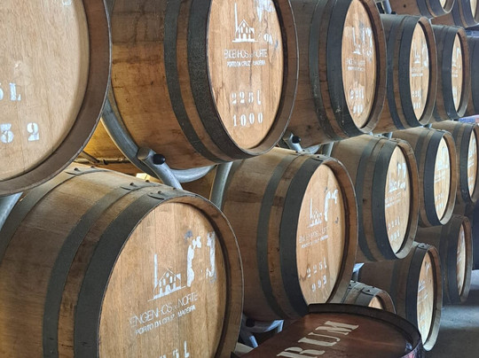 Discovery Island Madeira-沙尔必去景点