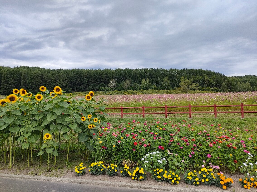 Engaru sun hills park-远轻町必去景点