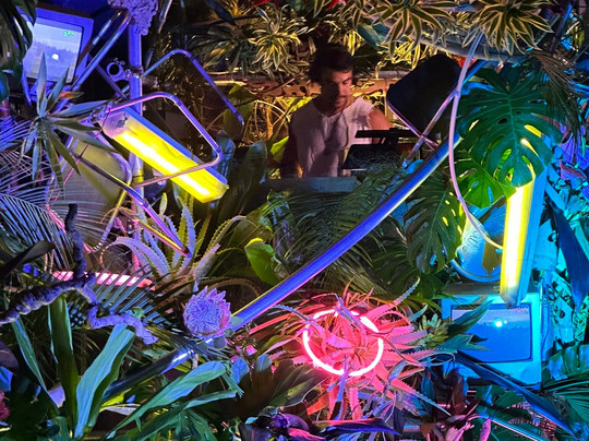 Lava Lounge Tokyo-涩谷区必去景点