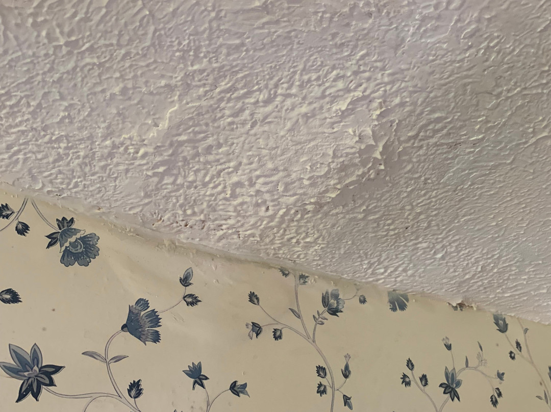 Taylor House Inn主图