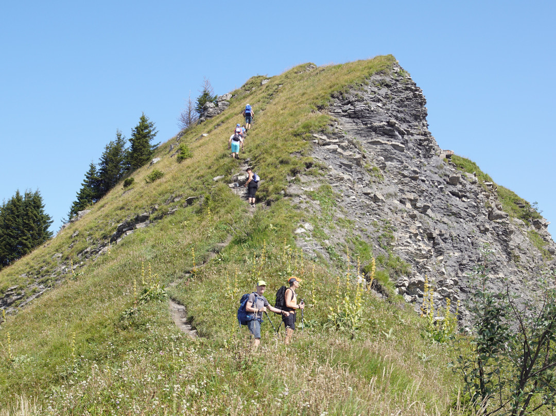 Lac de Joux Plane景点图片
