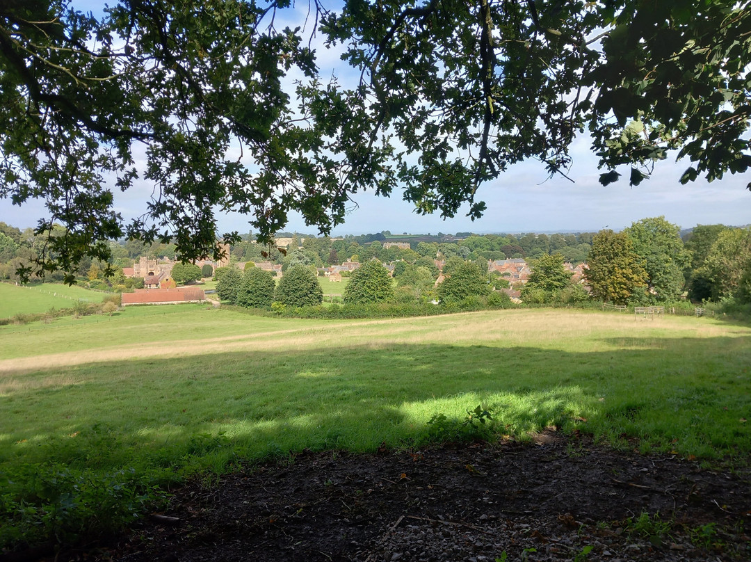 Ham Hill Country Park景点图片