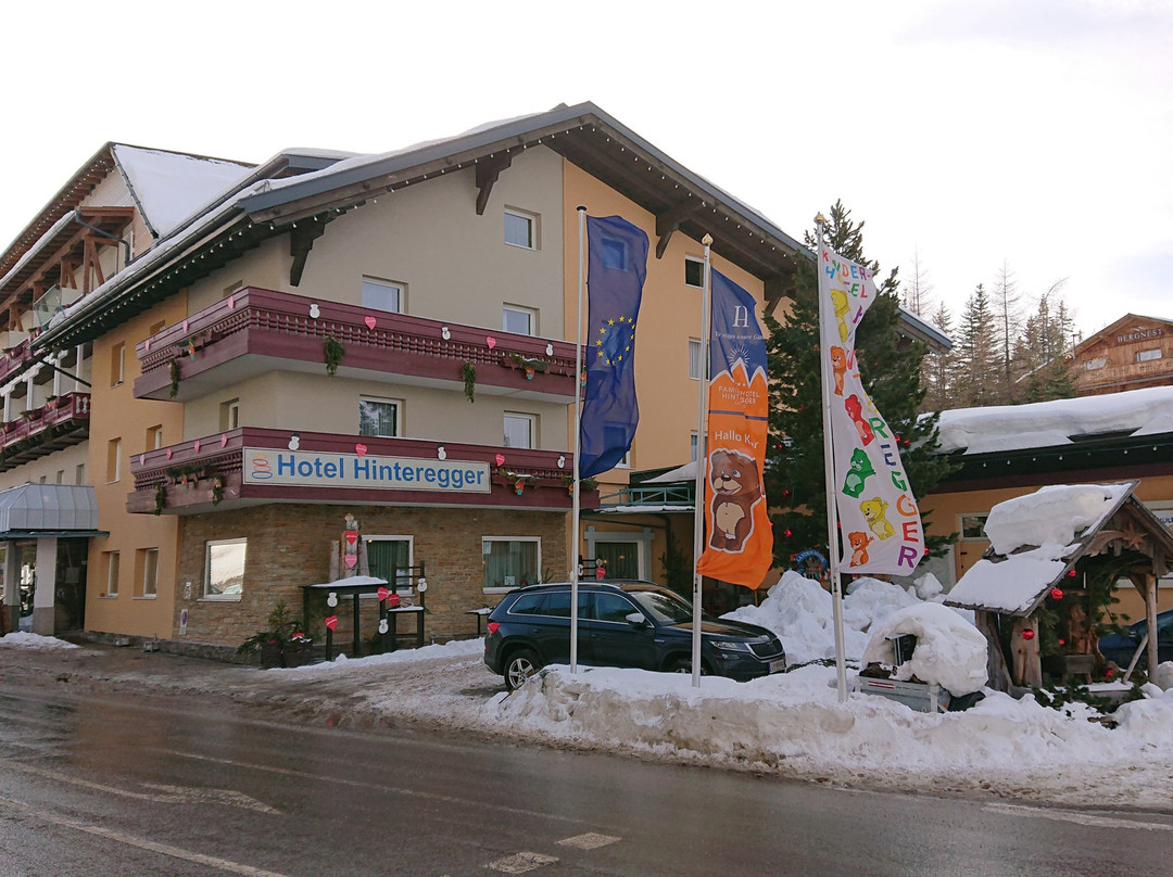 Familienhotel Hinteregger主图