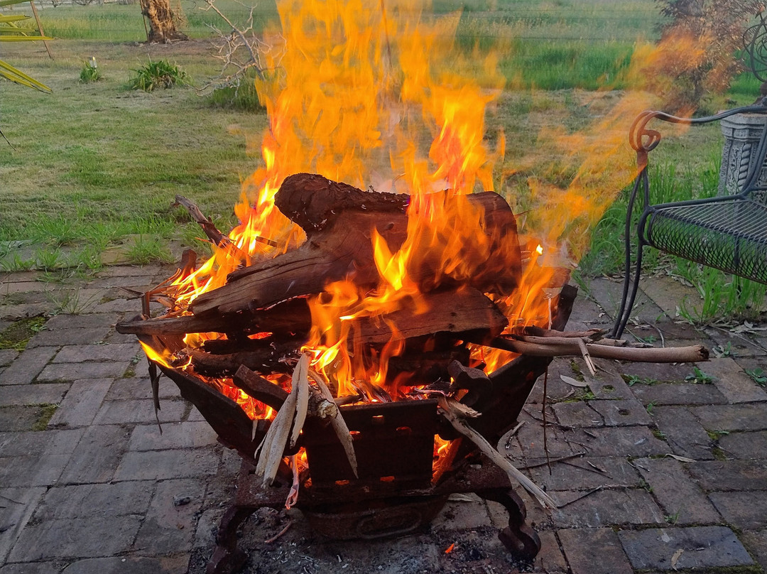 Country Carriage Bed & Breakfast主图