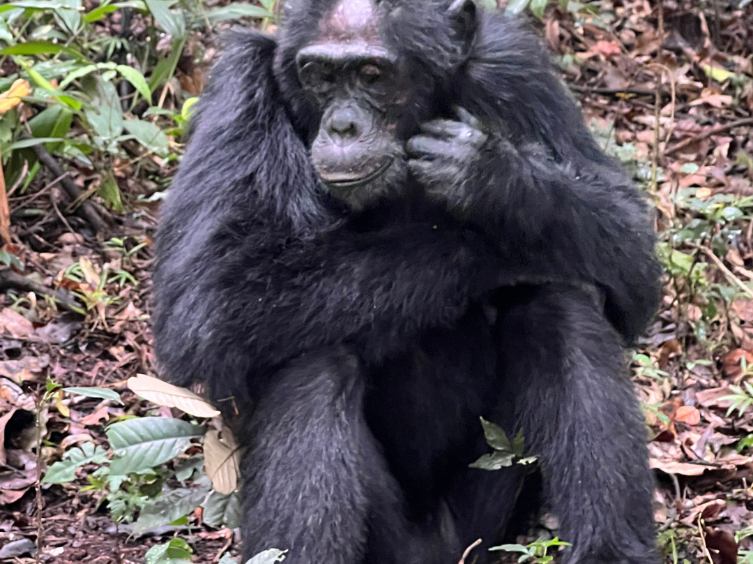 Unzip Africa-坎帕拉必去景点