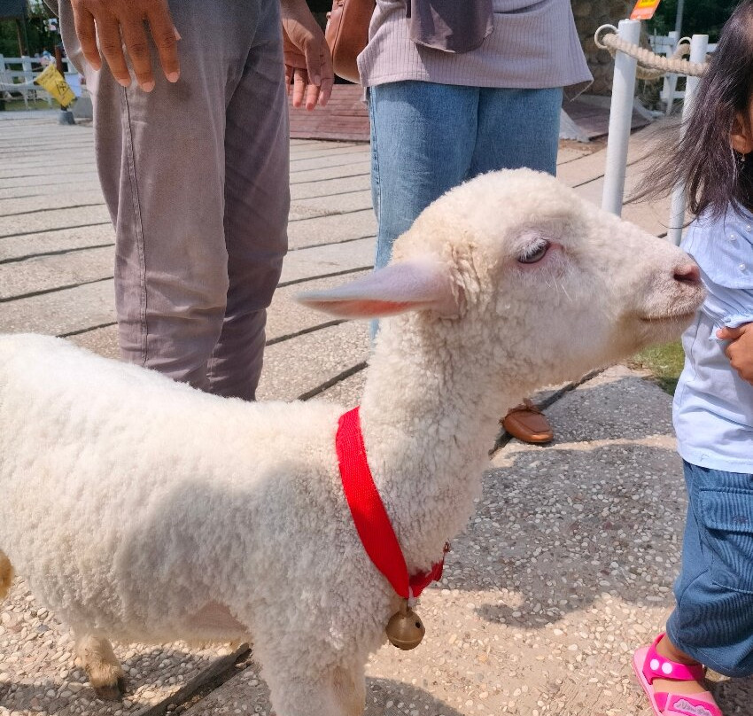 Cimory Dairyland Puncak-Cipayung Girang必去景点