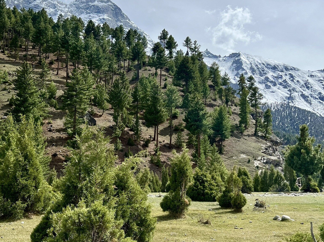 Basho Valley - Sultanabad Medow-Skardu必去景点