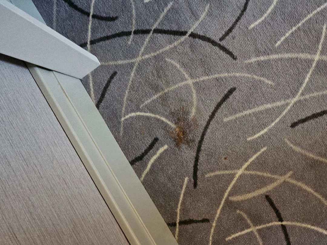 The Conforium Hotel Van主图