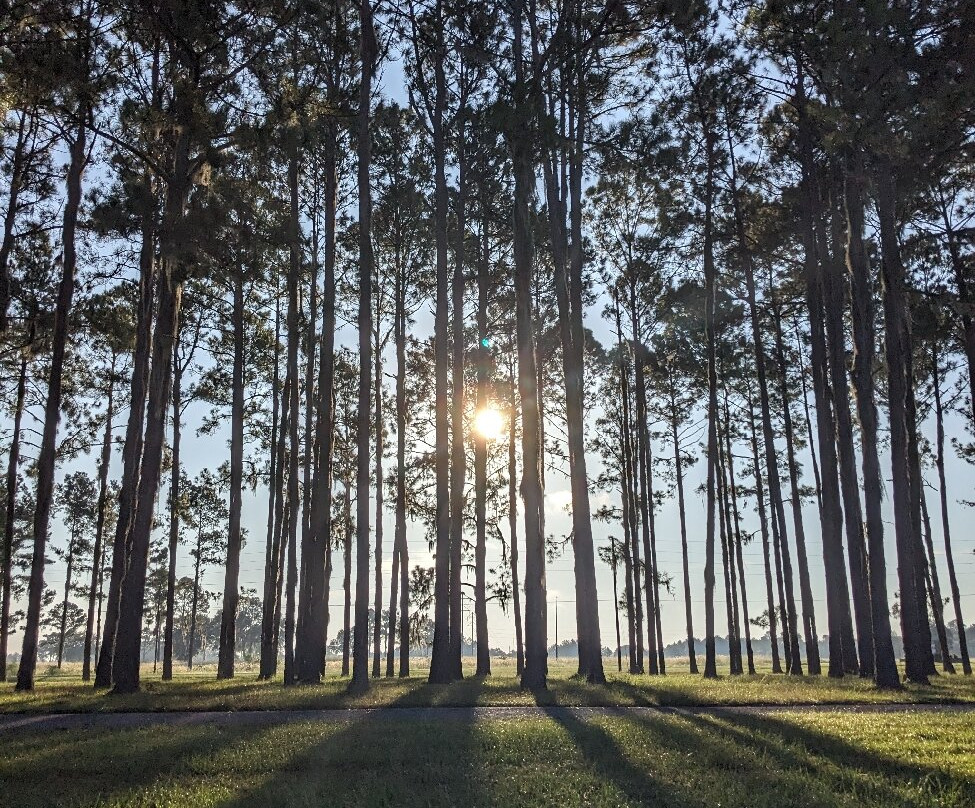 Bienville Plantation-White Springs必去景点