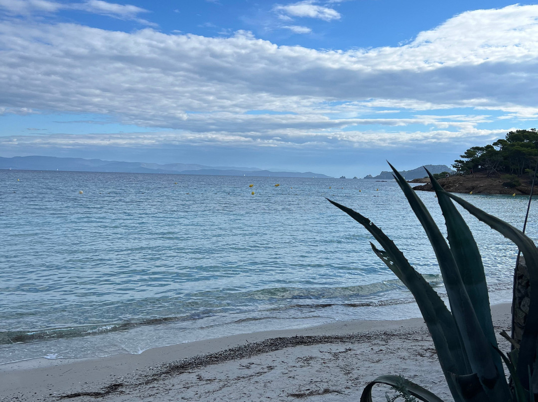 Plage du Langoustier景点图片