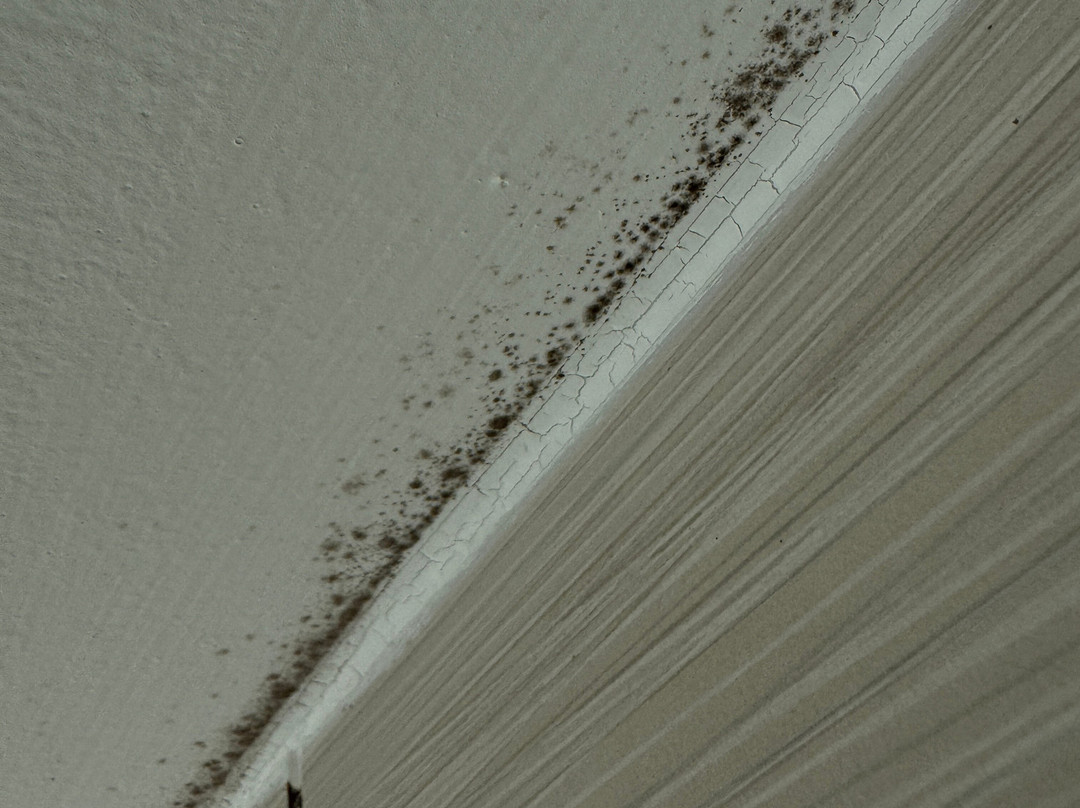 Best Western Plus University Inn主图