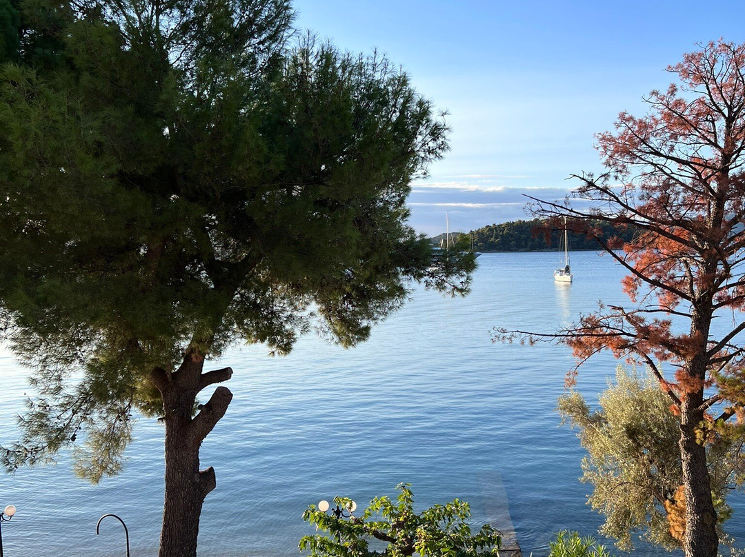 Pansion Marina主图