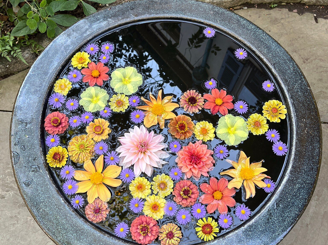 Chanticleer-Wayne必去景点