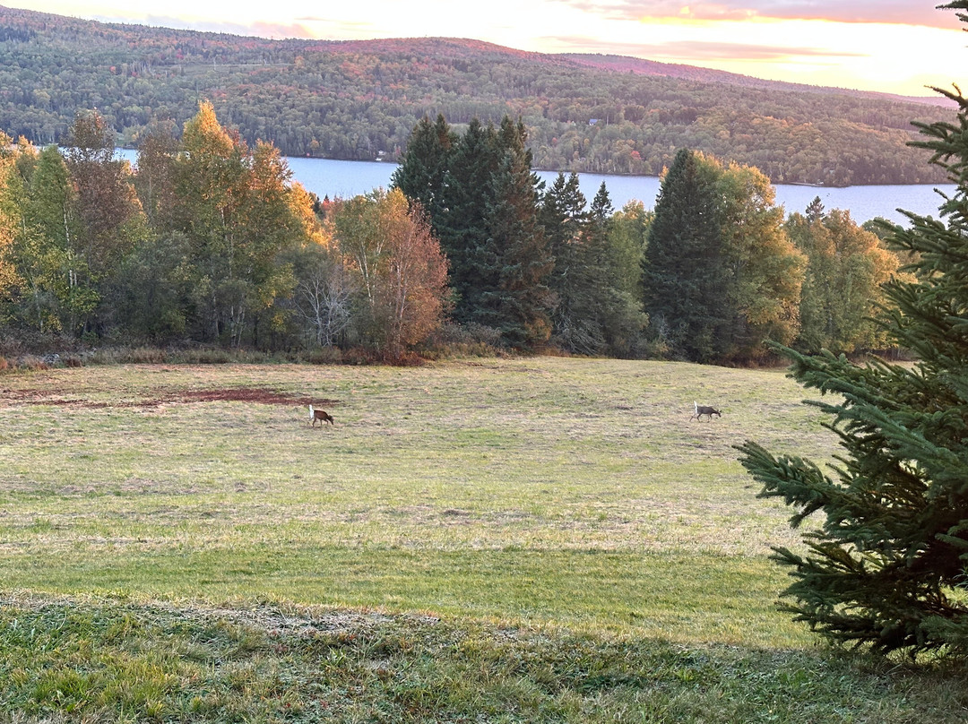 Highland Heath House Bed & Breakfast主图