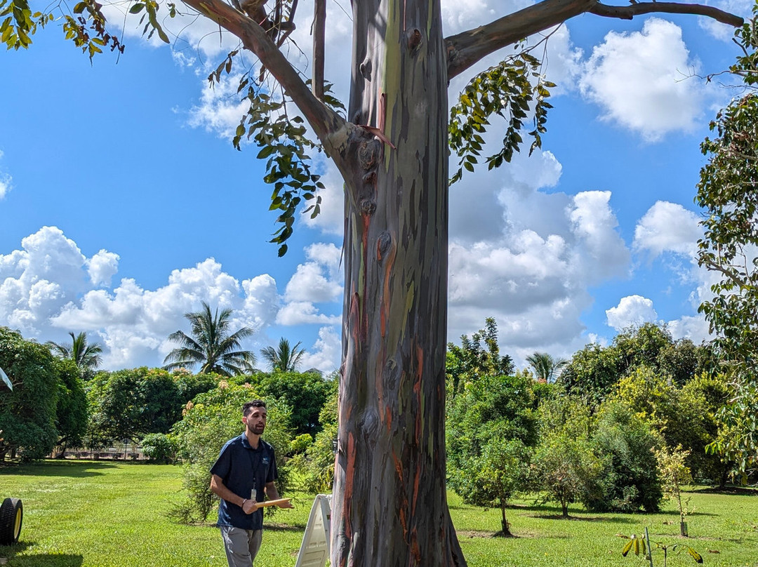 Fruit & Spice Park-霍姆斯特德必去景点