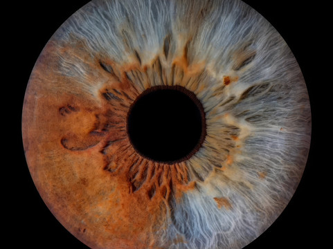 Amazojo Iris Photo Studio-彭萨科拉必去景点