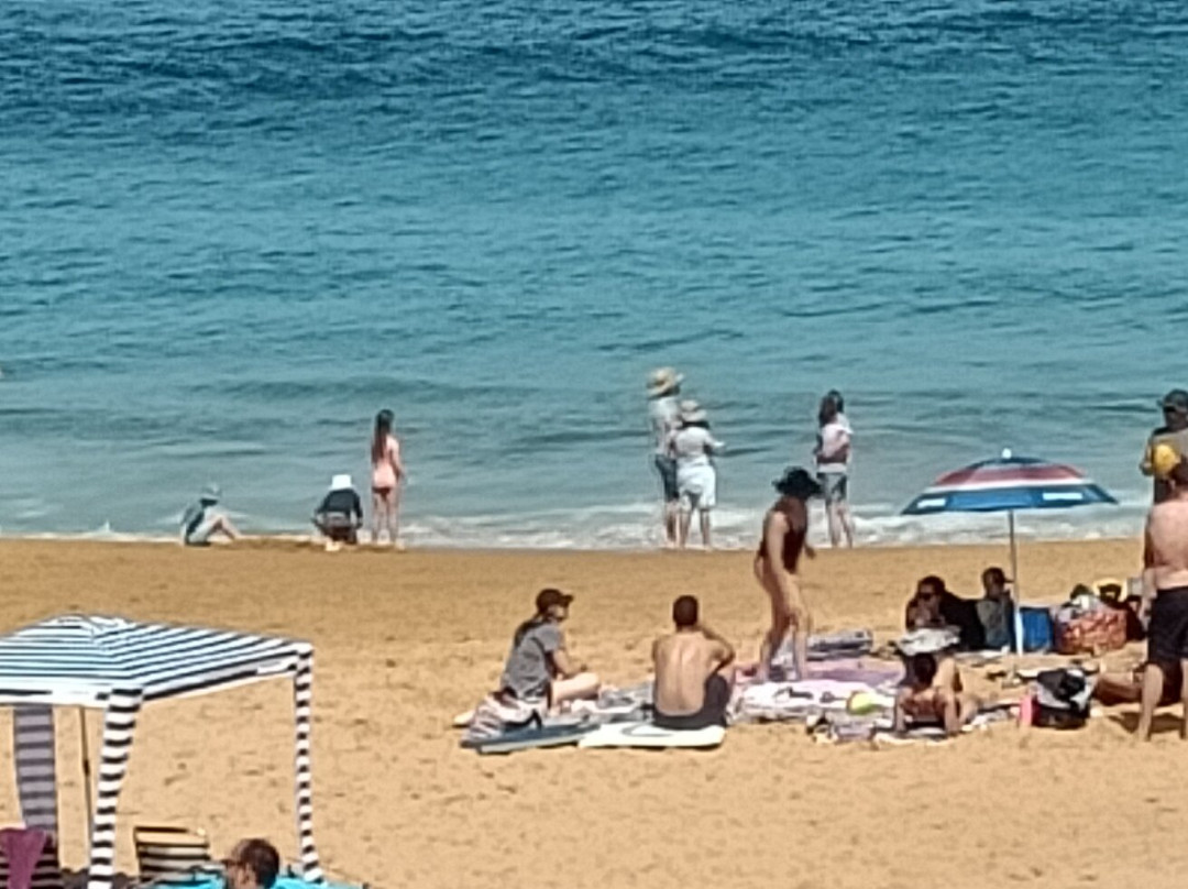 Arties Place at Copa