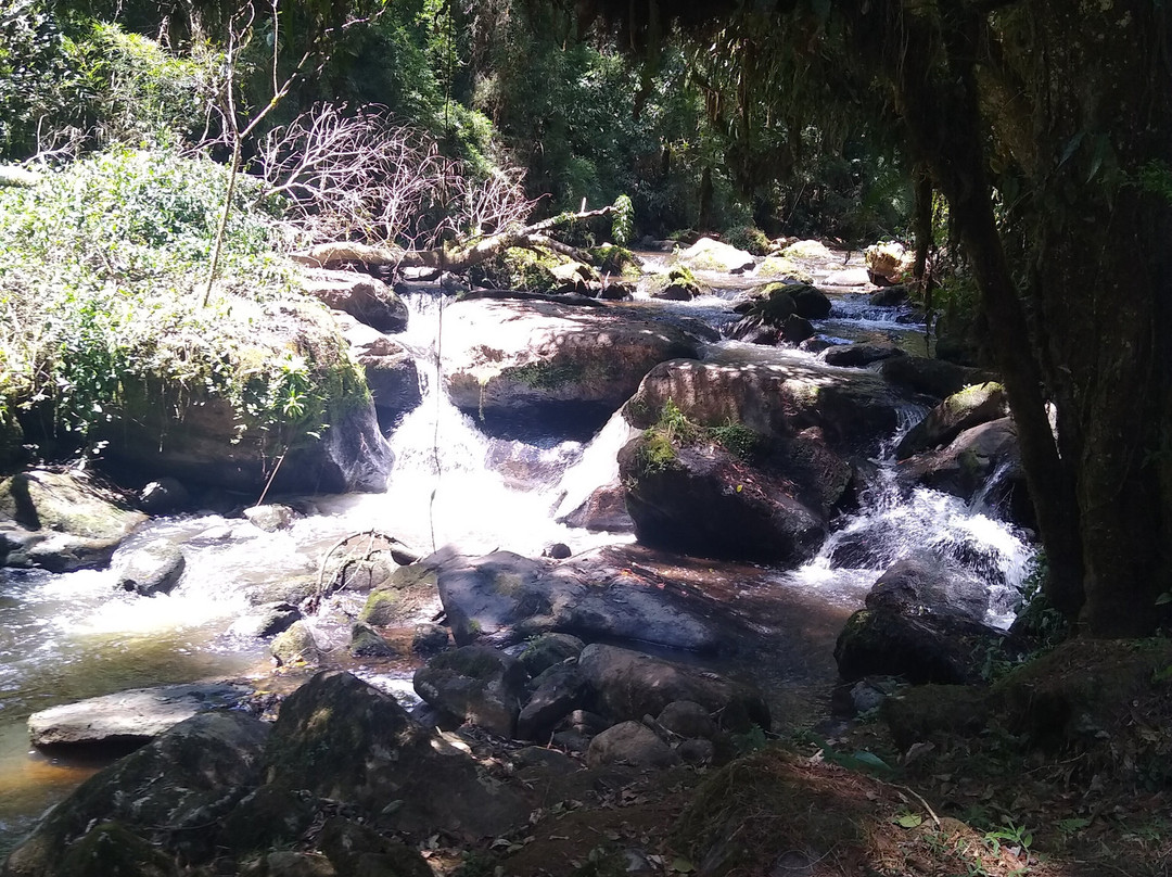 Trilha das Corredeiras do Itapuá-蒙特贝尔德必去景点