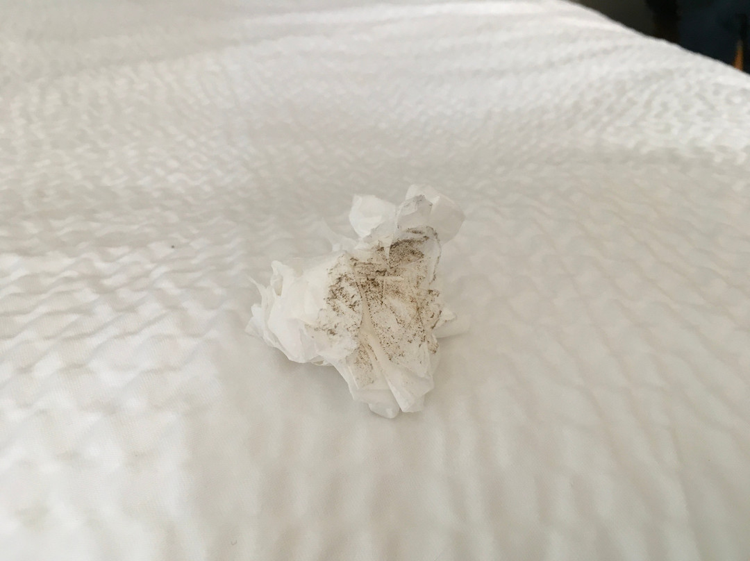 The Lodge on Lake Oconee主图