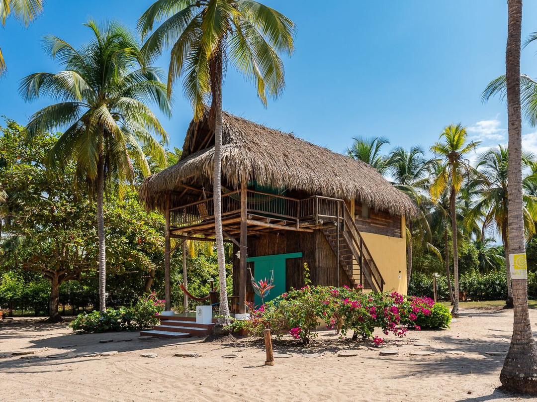 Aite Eco Resort主图