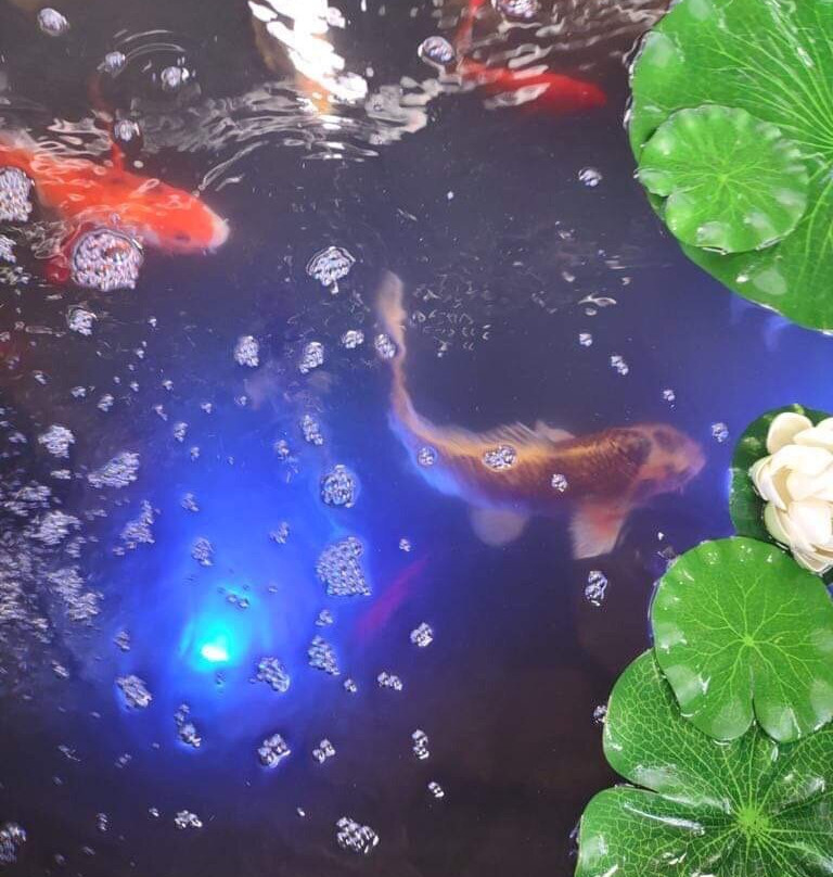 Pennsylvania Farm Show Complex and Expo Center-哈里斯堡必去景点