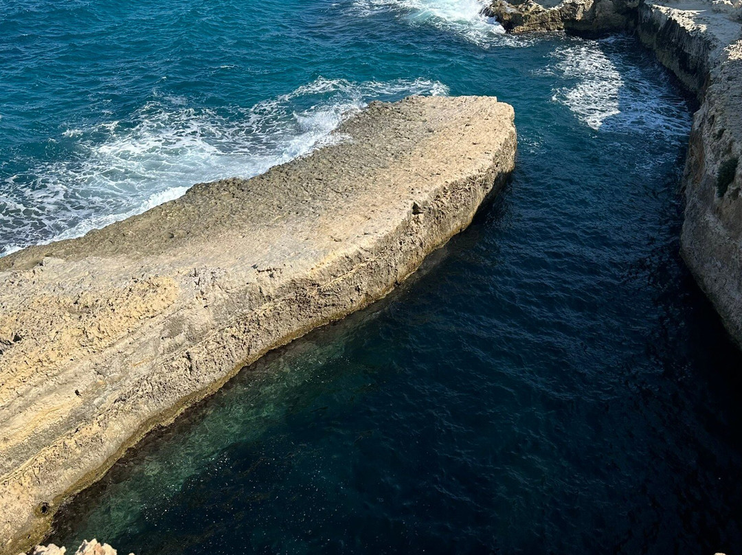 Torre Sant'Andrea景点图片