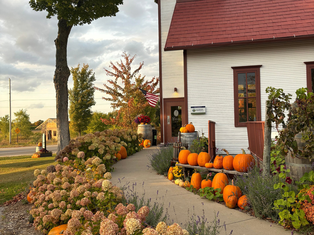 Peninsula Cellars-特拉弗斯城必去景点