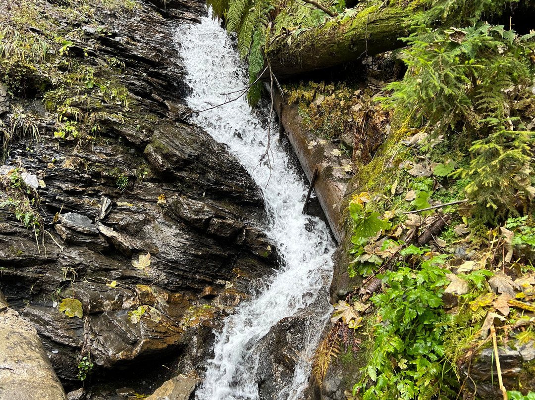 Grütschalp - Mürren Hiking Trail景点图片