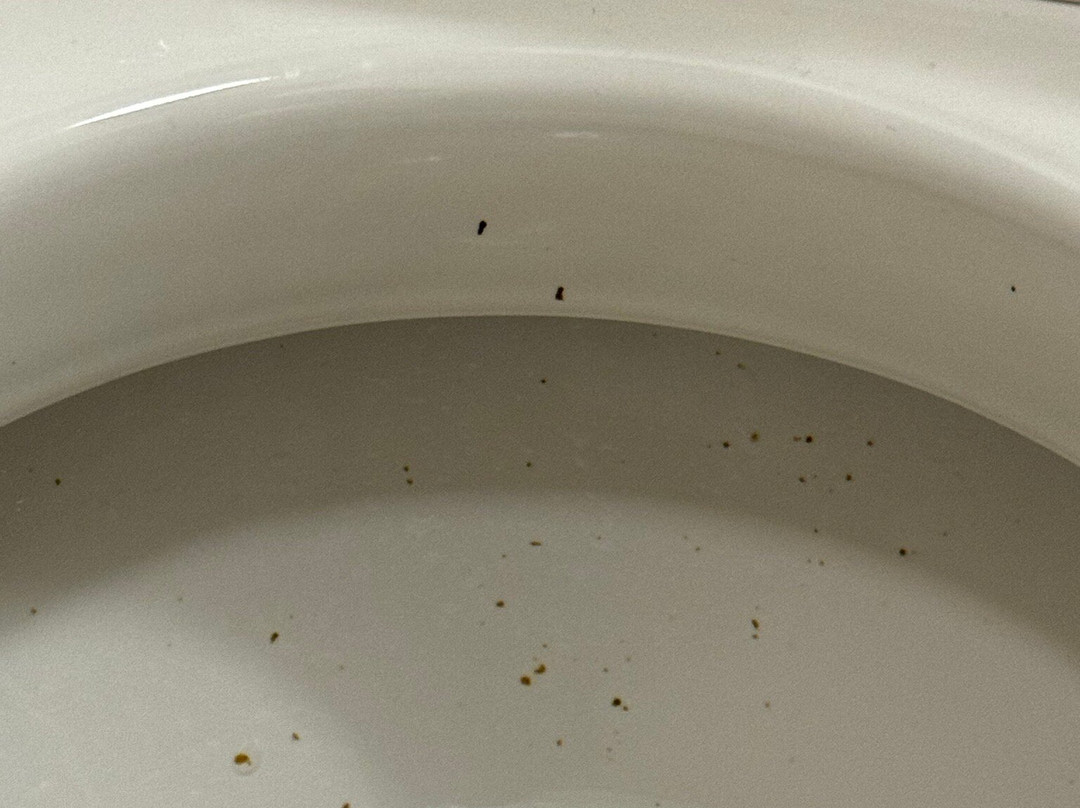 Long Creek Hotel主图