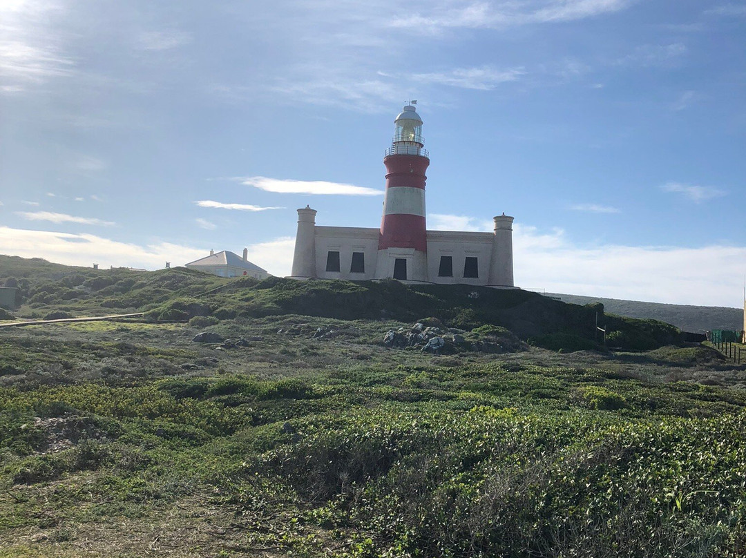 Cape Agulhas Lighthouse-L'Agulhas必去景点