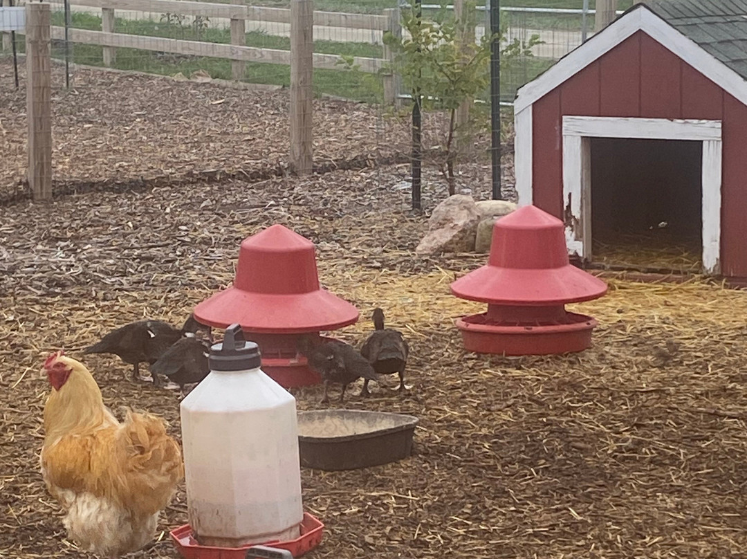 Plymouth Orchard and Cider Mill-普利茅斯必去景点