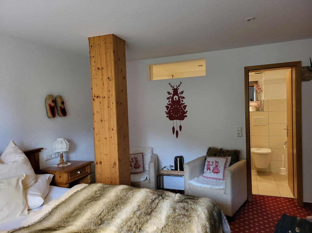 荷恩加斯特霍夫格鲁纳鲍姆酒店主图