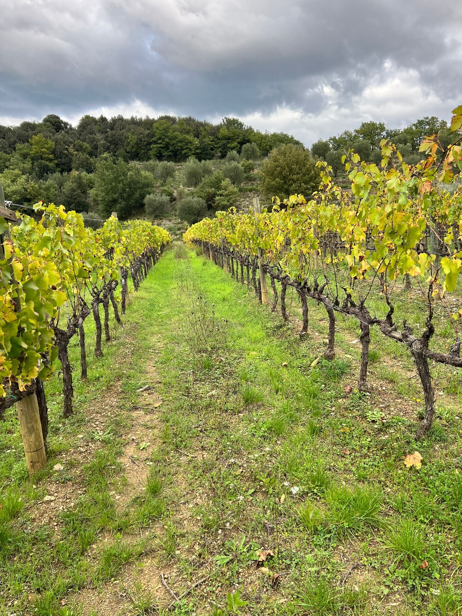 卡萨迪酒店-官方