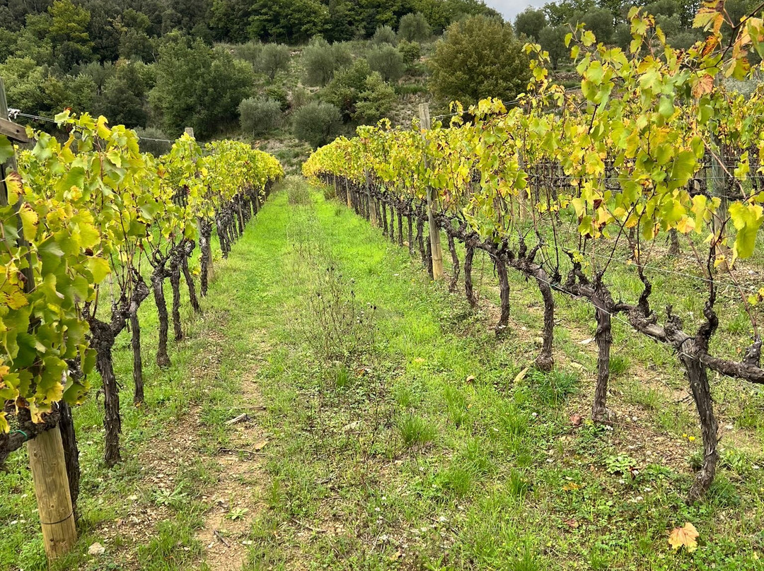 卡萨迪酒店主图