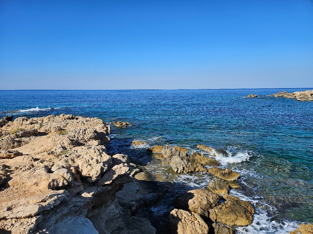 Freedom Divers Cyprus-Anarita必去景点