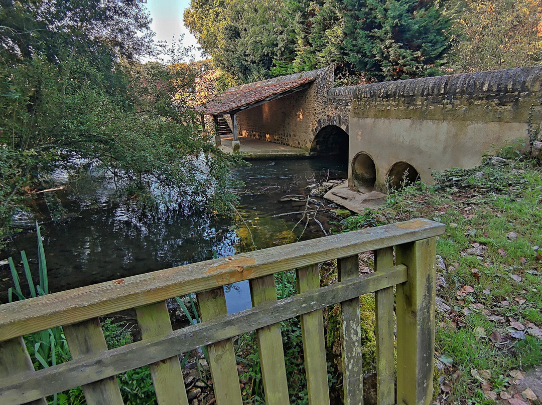 Lavoir De Quinçay景点图片