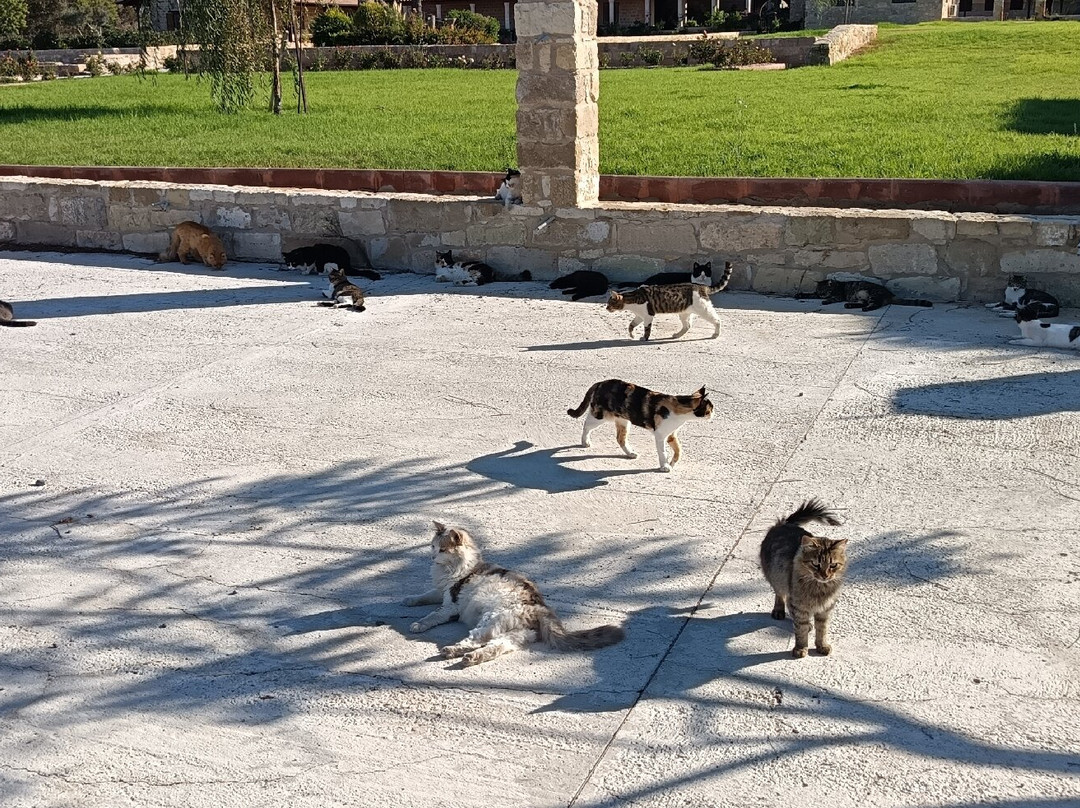 St. Nicholas of the Cats-Akrotiri必去景点