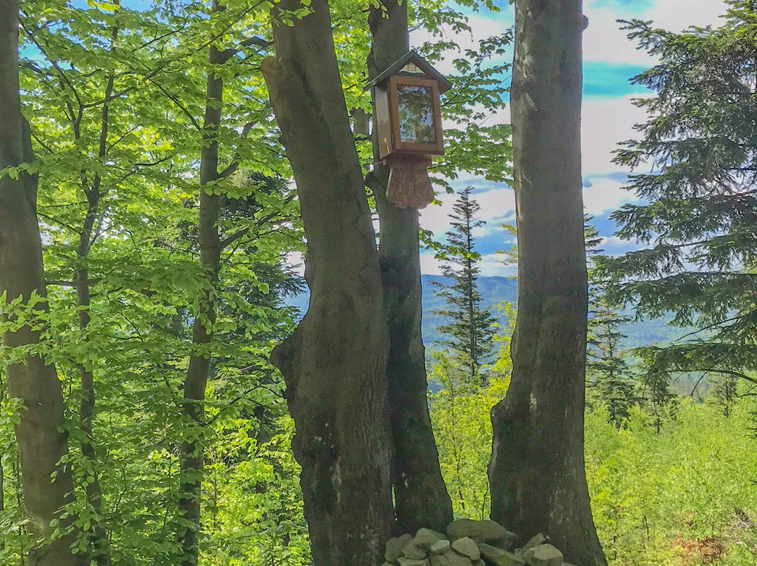 Kapliczka Matki Boskiej Zwycięskiej