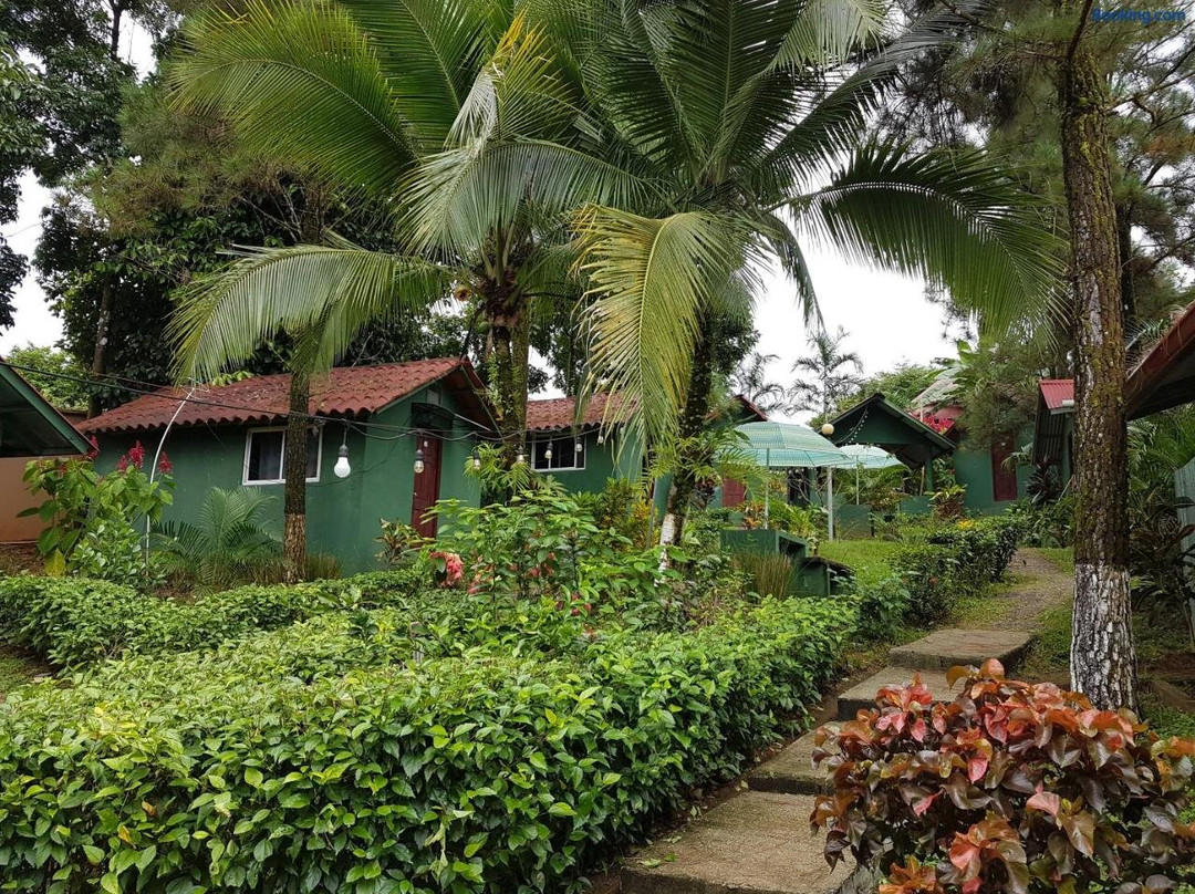 Los Pinos de Torio