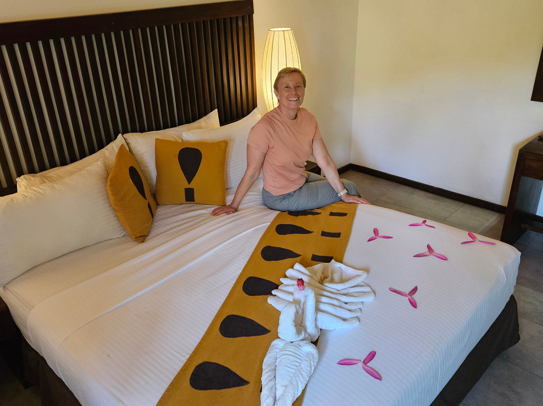 钱德里卡酒店主图