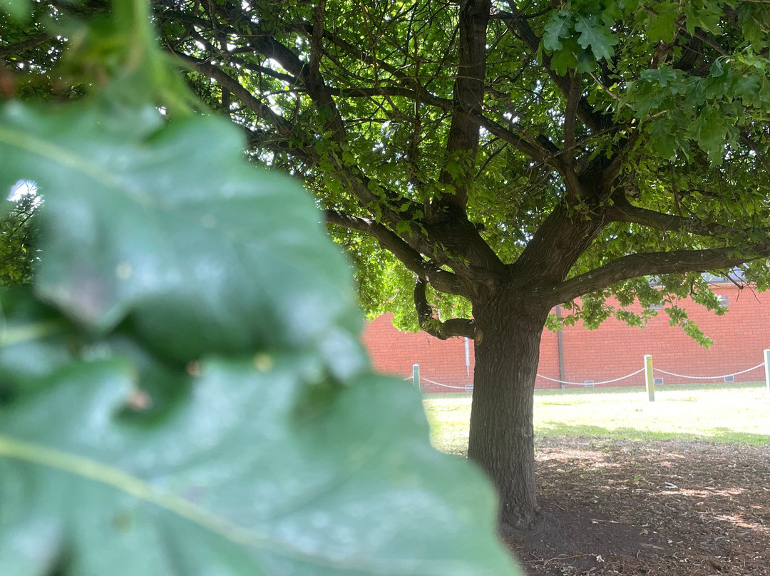 Stead Reserve-塞尔必去景点