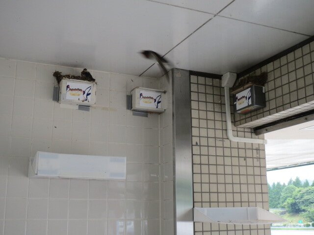 Kamikawachi Service Area Inbound-宇都宫市必去景点