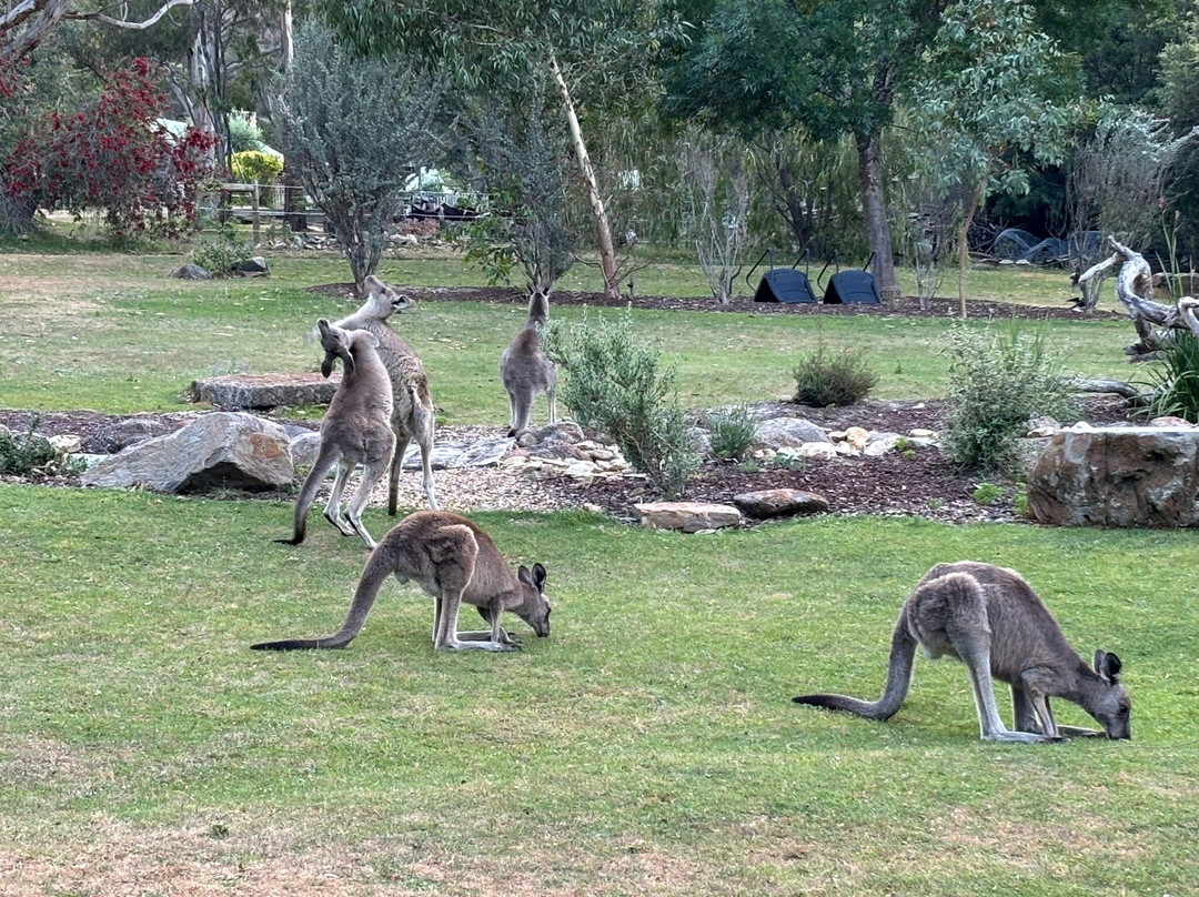 度阿顿斯度假村酒店主图