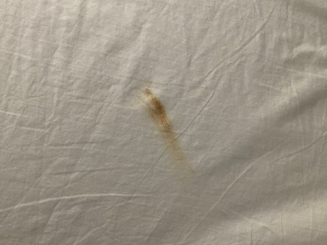 艾米斯莱特阿莫雷潜水度假村主图