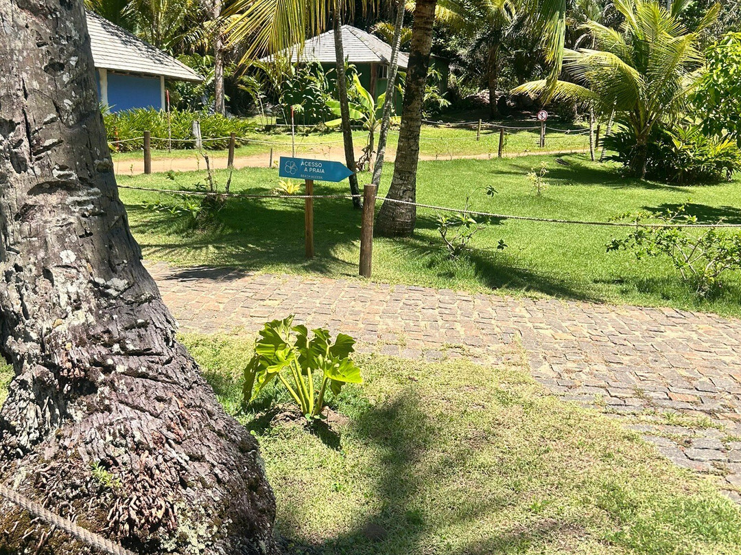 Havaizinho Beach-Itacare必去景点