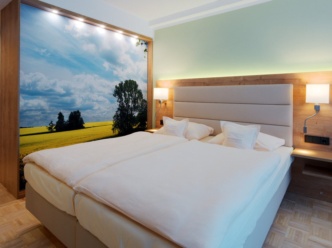 Bio-Seehotel Zeulenroda主图