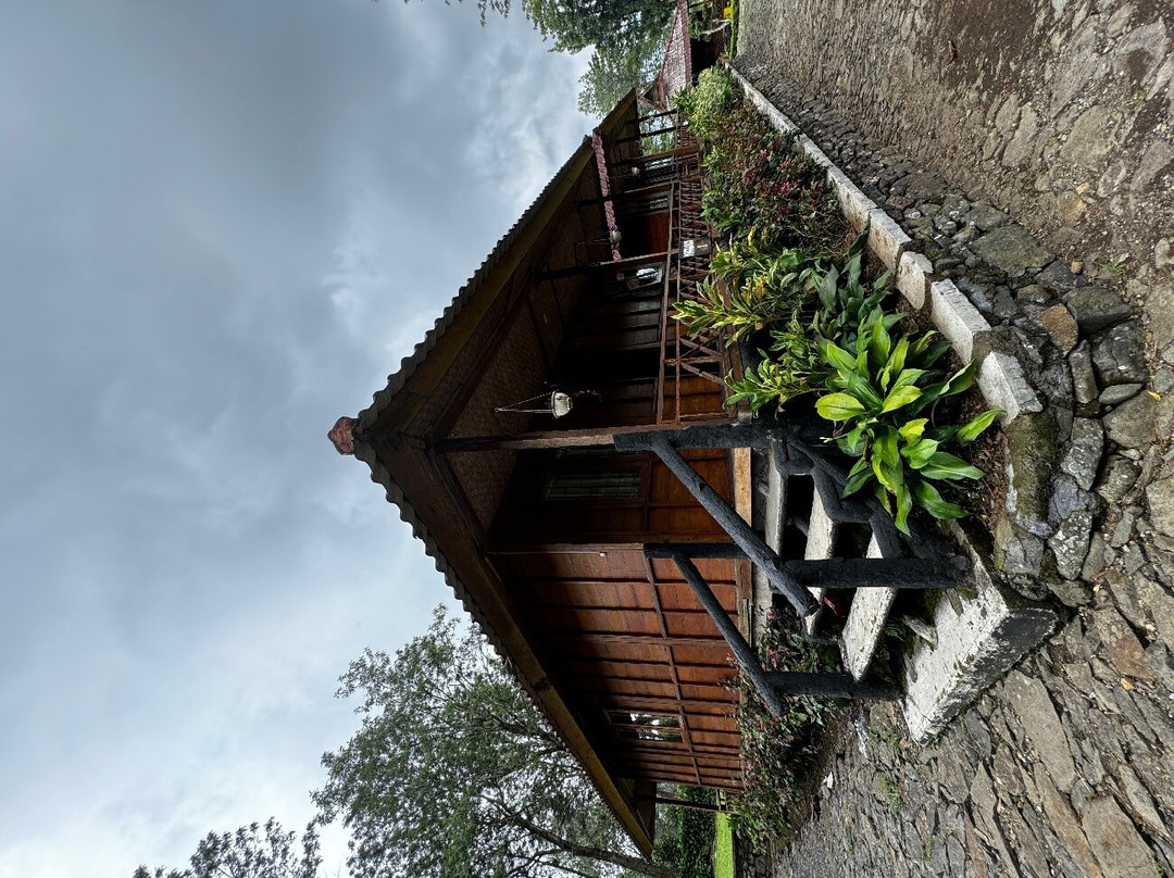 Gunung Mas Tea Gardens-Cisarua必去景点