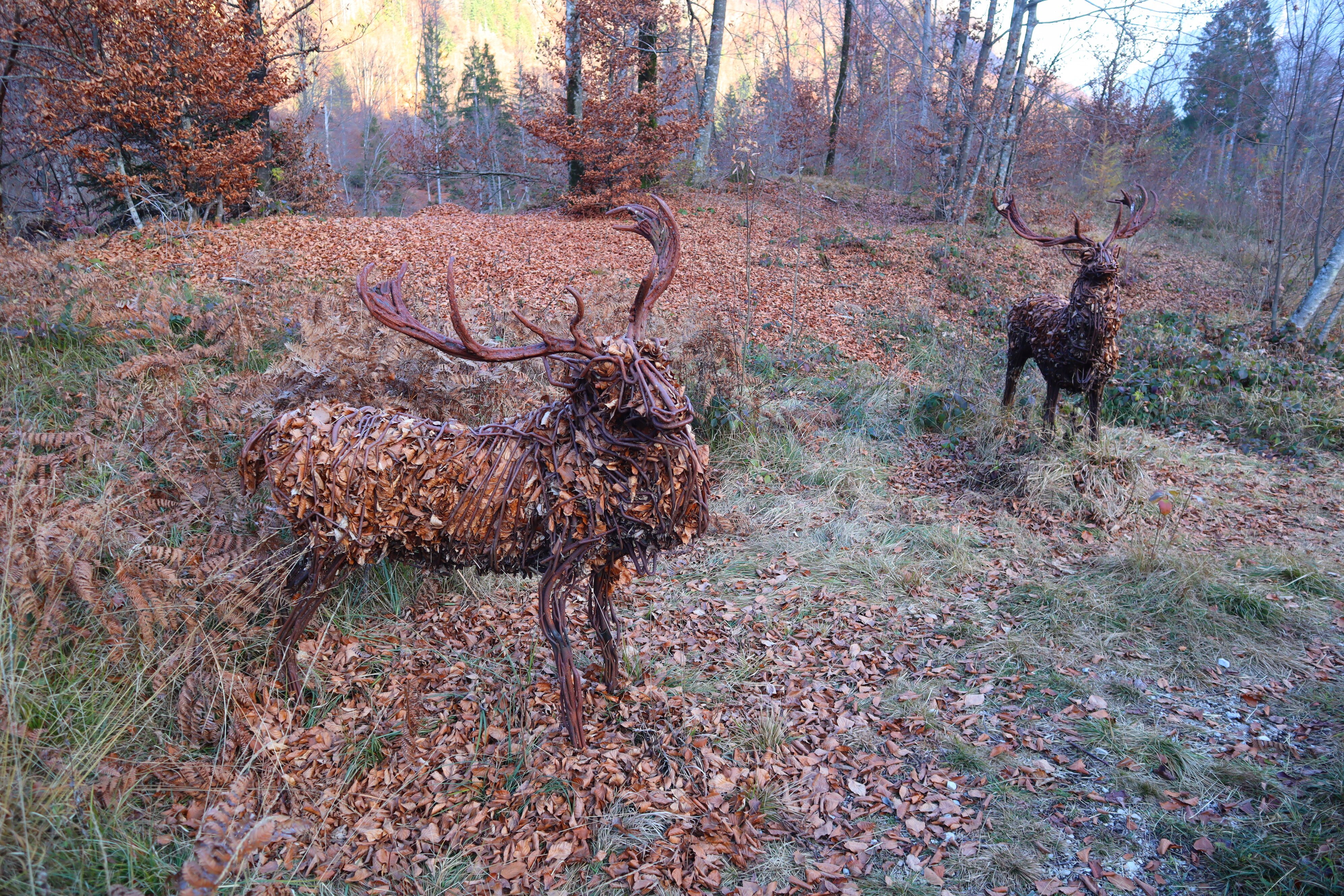Agritur Maso Flonkeri-浴室