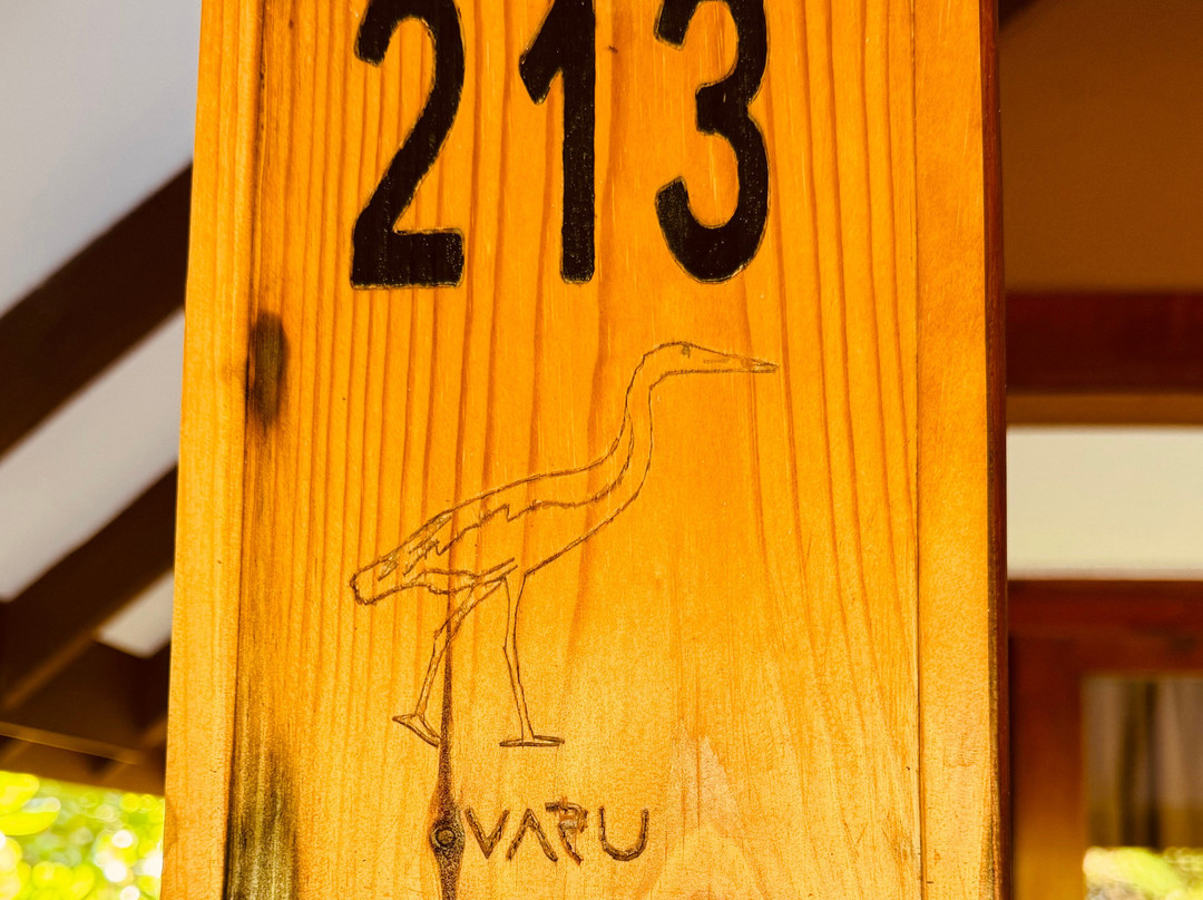 Varu By Atmosphere主图